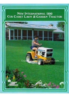 International